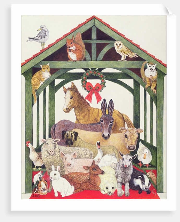 Sheltered by Pat Scott