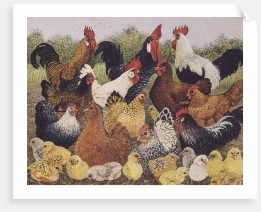 Something to Crow About by Pat Scott