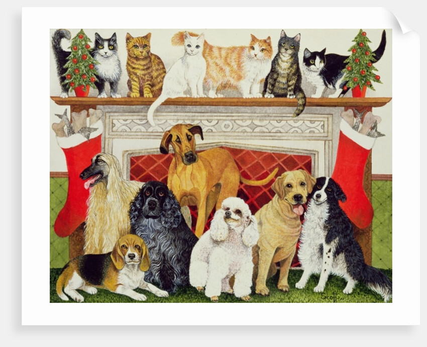 Great Expectations by Pat Scott