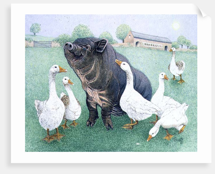 Tasty Morsel by Pat Scott