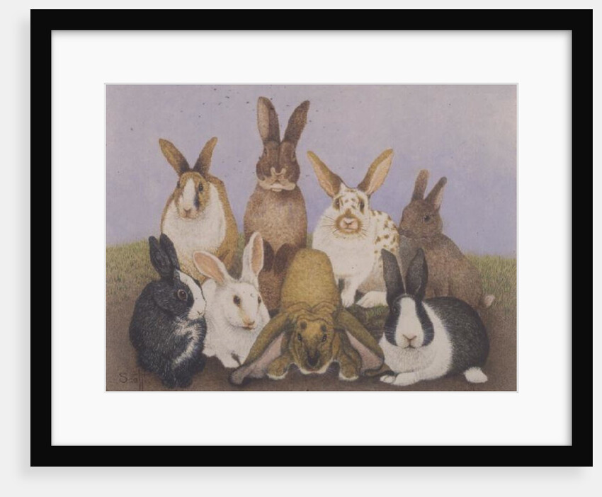 Lucky rabbits by Pat Scott