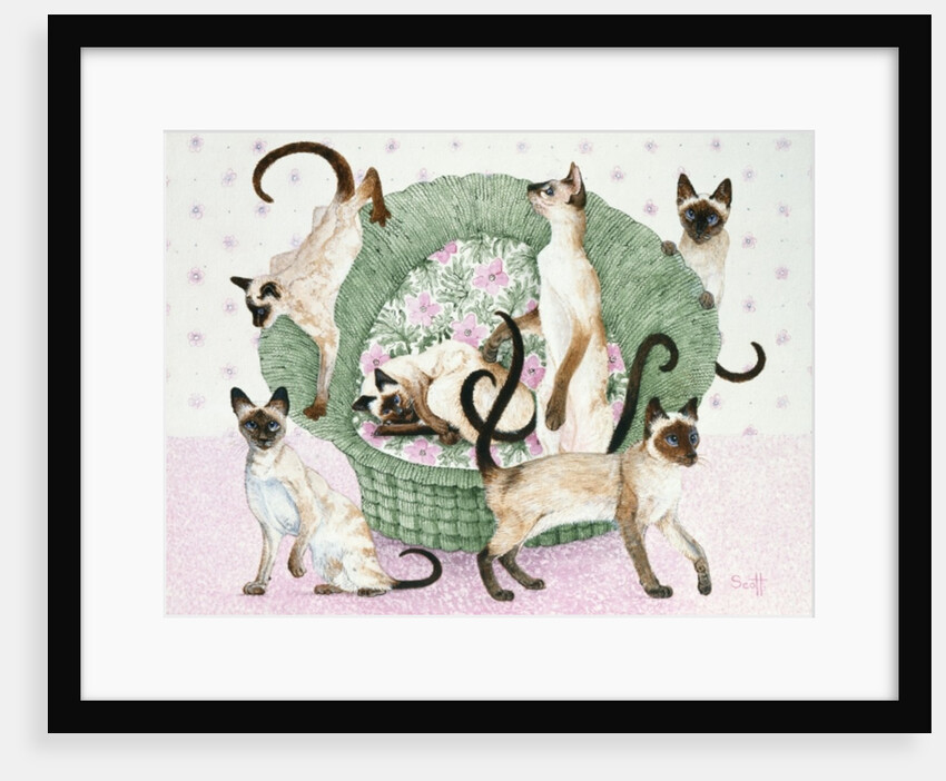 We are Siamese if you please by Pat Scott