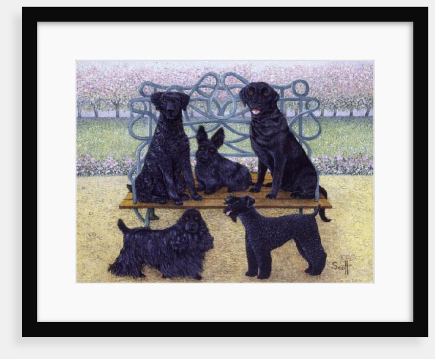 A seat in the park by Pat Scott