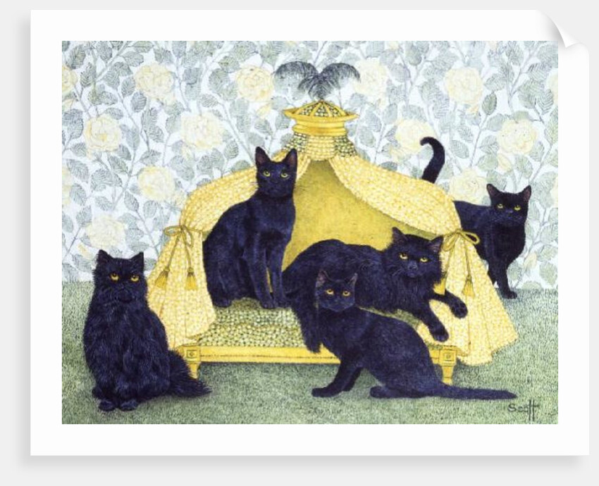 Black velvet by Pat Scott