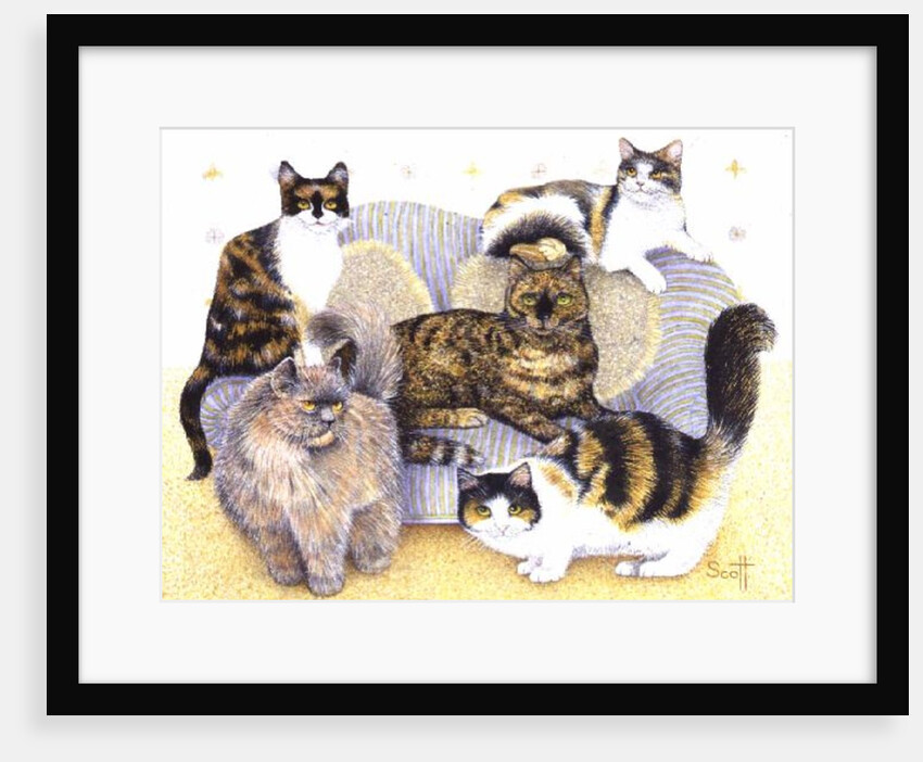 Tortoiseshell ladies by Pat Scott