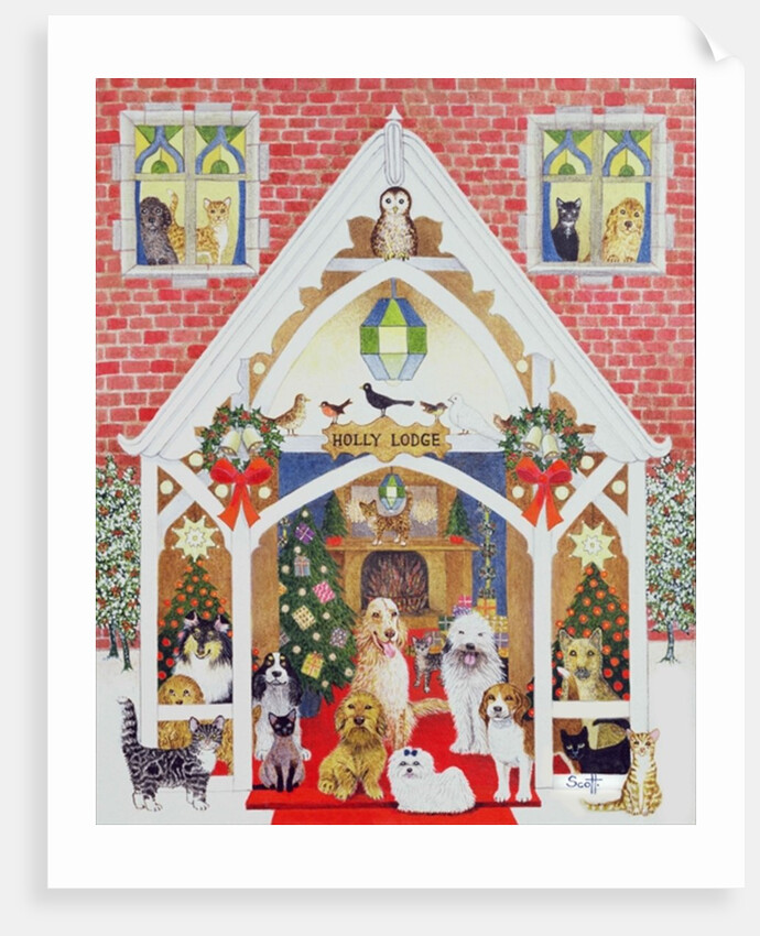 Black and white whiskers by Pat Scott