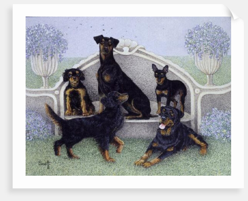 Tea on the terrace by Pat Scott