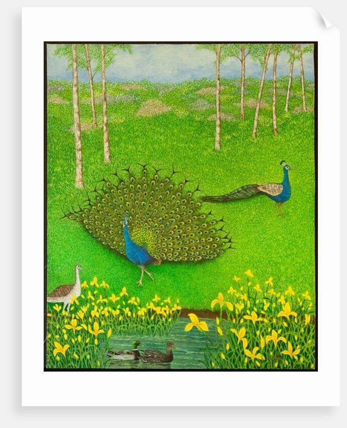 Winning Ways, 2012 by Pat Scott