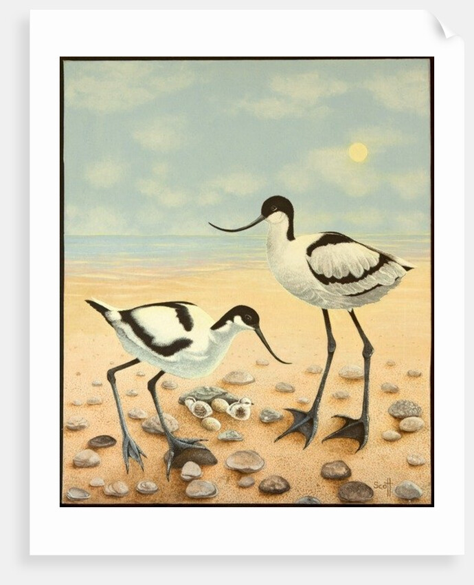 The New Generation, 2012 by Pat Scott