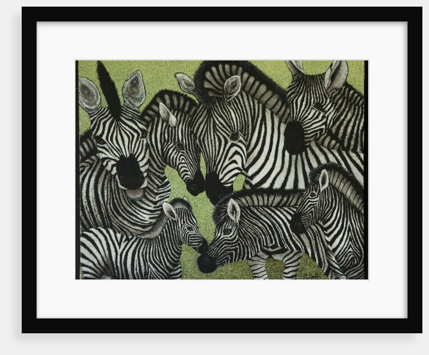All in black and white by Pat Scott