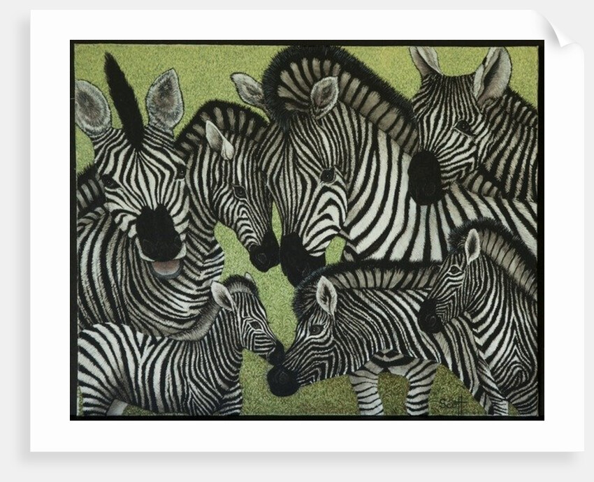 All in black and white by Pat Scott