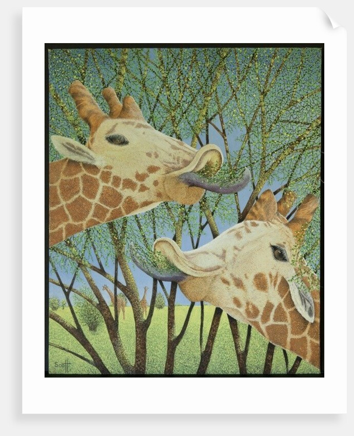 Life at the top by Pat Scott