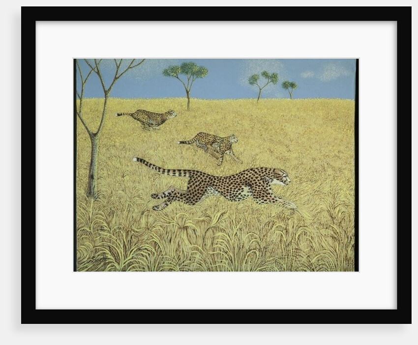 Sheer Speed by Pat Scott