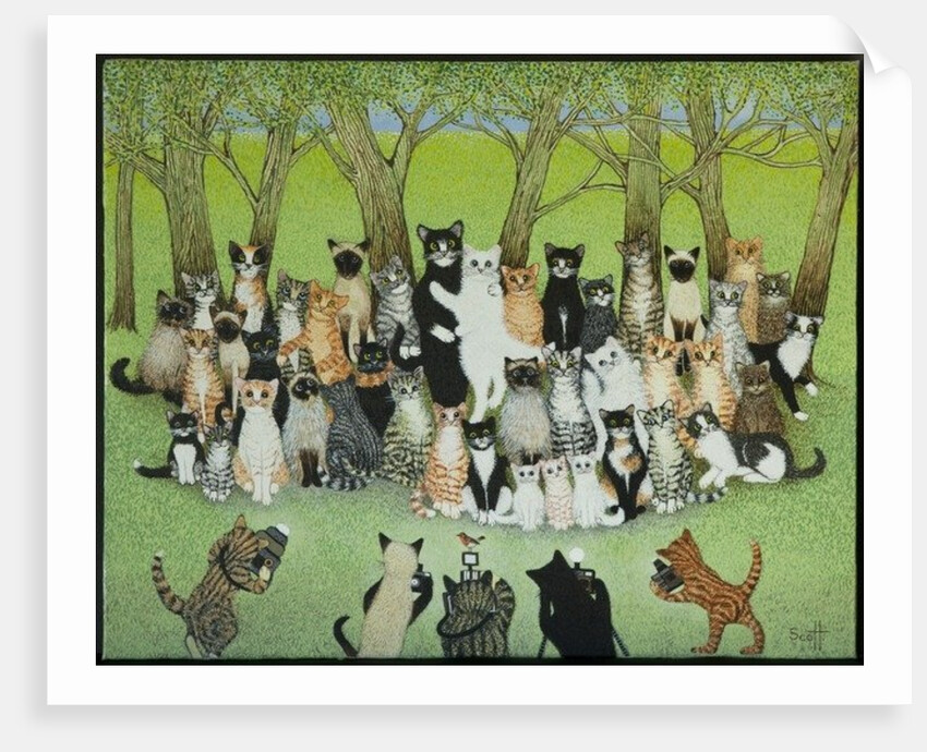 Watch the Birdie by Pat Scott