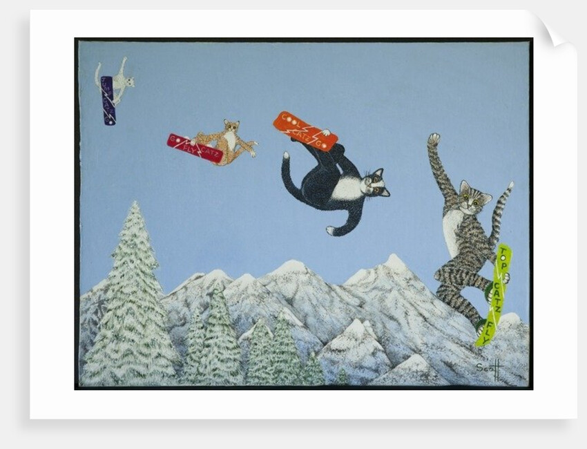 Style and ability by Pat Scott