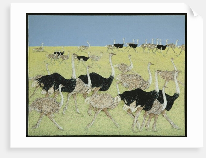 Rush hour by Pat Scott