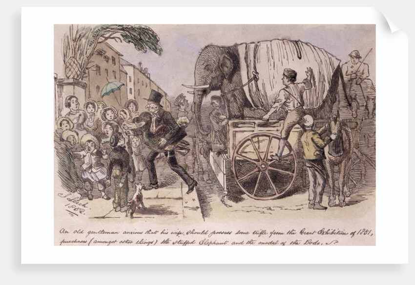 An old gentleman anxious that his wife should possess some trifle from the Great Exhibition of 1851, purchases the stuffed elephant and the model of the dodo by John Leech