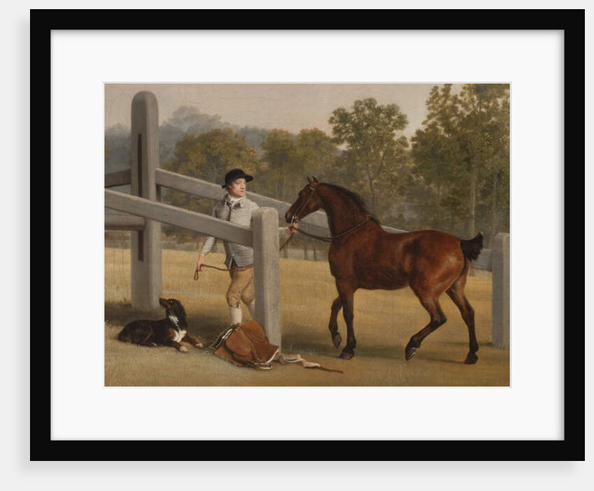 Detail from William Henry Cavendish-Bentinck, 3rd Duke of Portland and his younger brother Lord Edward, 1767-68 by George Stubbs