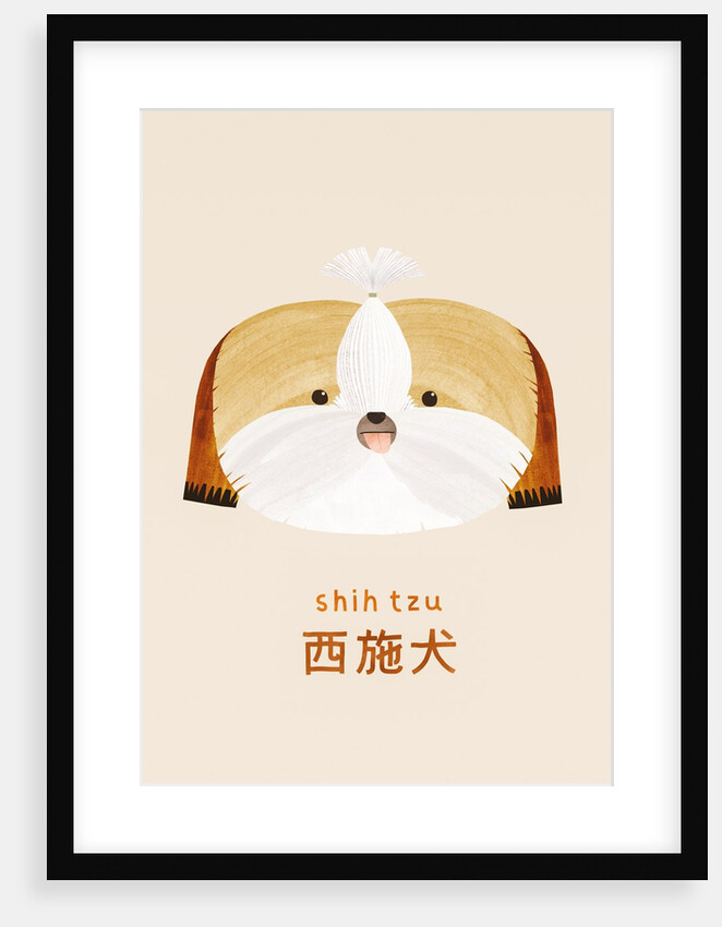 Shih tzu, 2019 by Léa Le Pivert