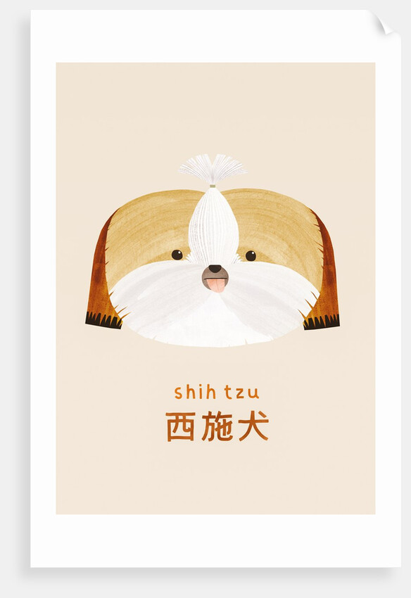 Shih tzu, 2019 by Léa Le Pivert