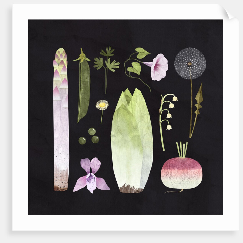 Veggies and Blooms, 2023 by Léa Le Pivert