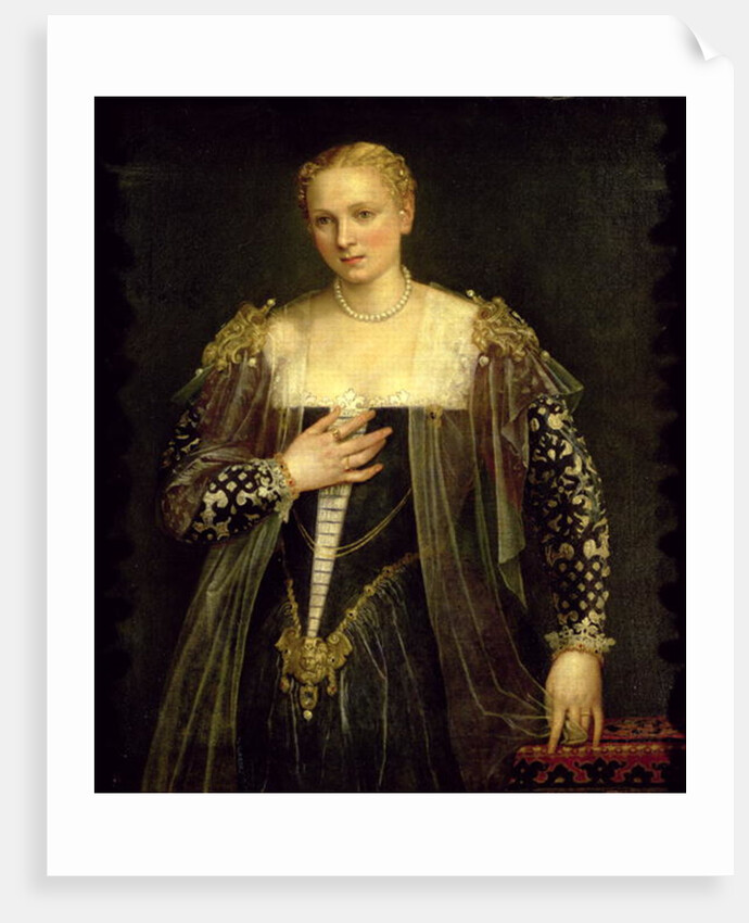 The Beautiful Nani by Veronese