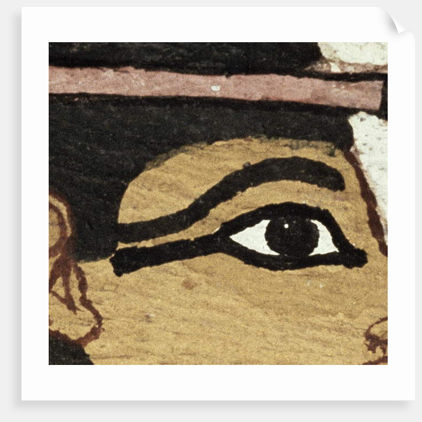 Detail of the decoration of a sarcophagus of The Lady of Madja, New Kingdom, c.1450 BC by Egyptian 18th Dynasty