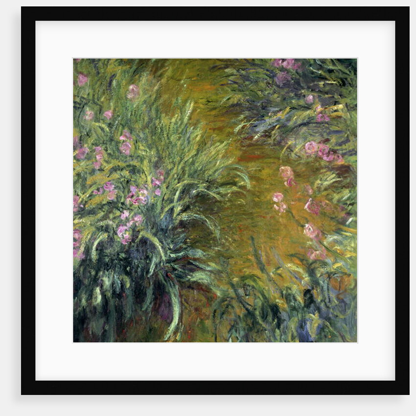 Iris by Claude Monet