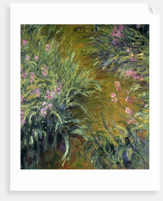 Iris by Claude Monet