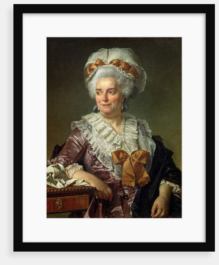 Portrait of Madame Charles-Pierre Pecoul, nee Potain, mother-in-law of the artist, 1784 by Jacques Louis David