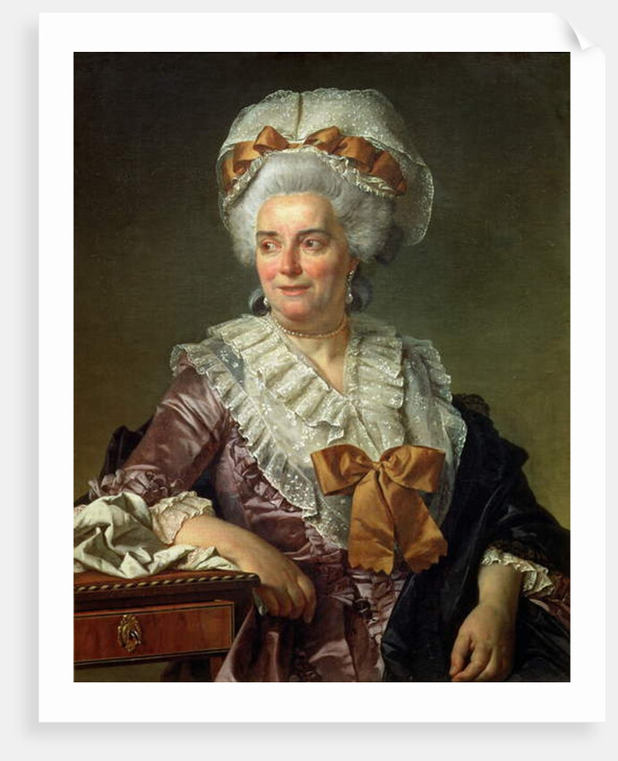 Portrait of Madame Charles-Pierre Pecoul, nee Potain, mother-in-law of the artist, 1784 by Jacques Louis David