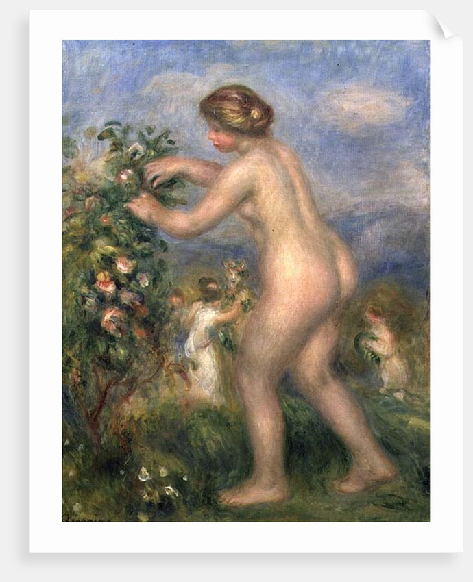Female nude picking flowers by Pierre Auguste Renoir