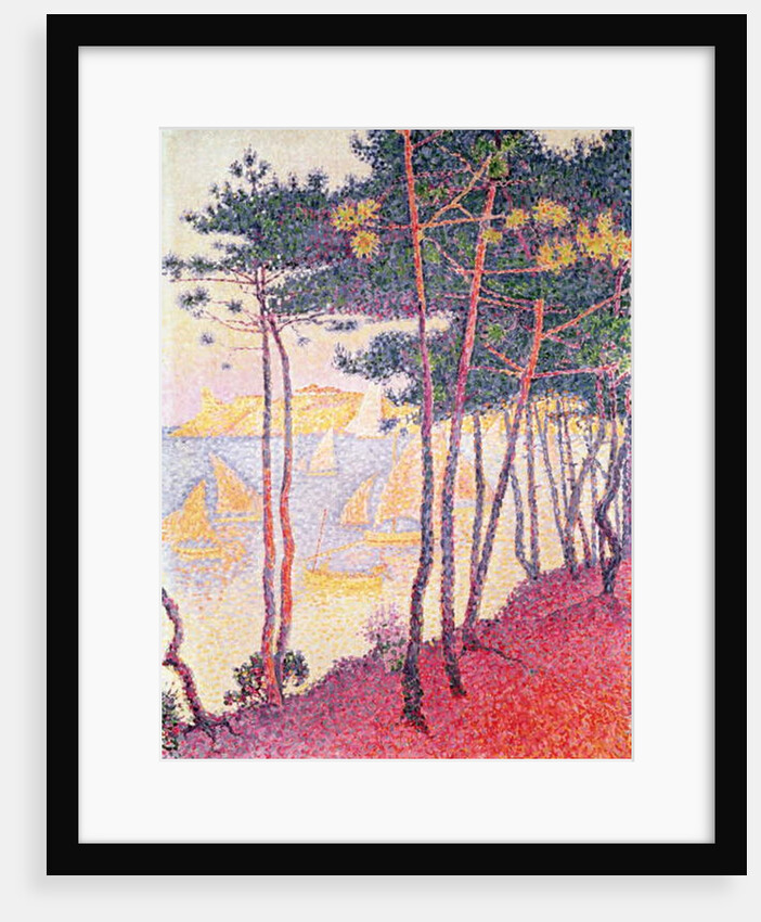 Sailing boats and pine trees, 1896 by Paul Signac