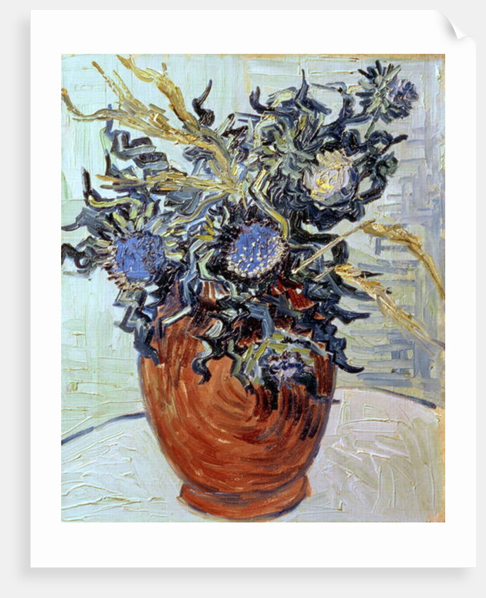 Still Life with Thistles, 1890 by Vincent van Gogh
