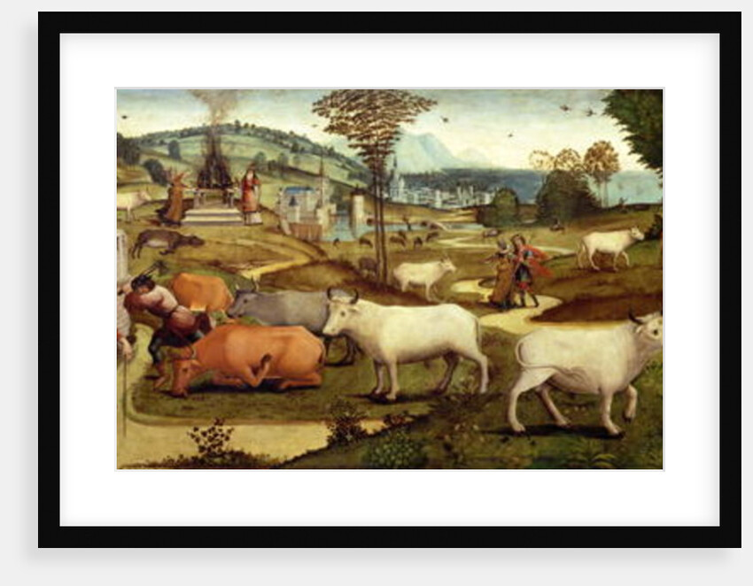 The Passions of Pasiphae, wife of King Minos of Crete by Master of the Campana Cassoni