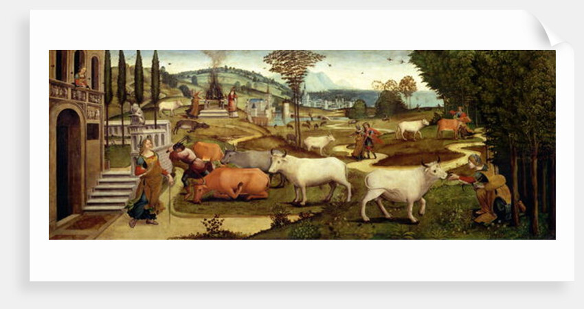 The Passions of Pasiphae, wife of King Minos of Crete by Master of the Campana Cassoni