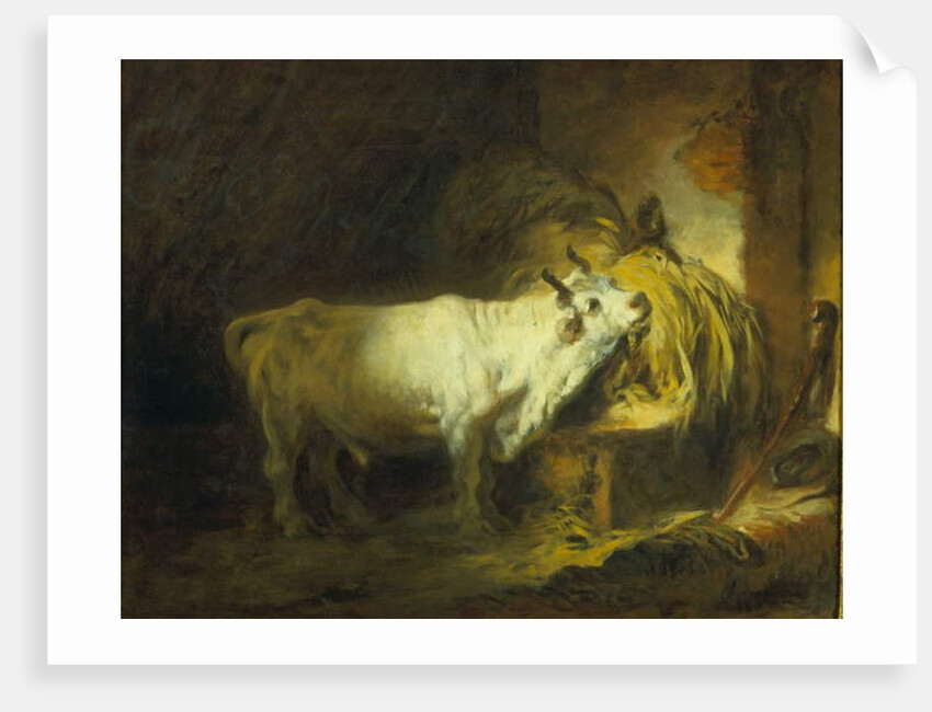 The White Bull in the Stable by Jean-Honore Fragonard