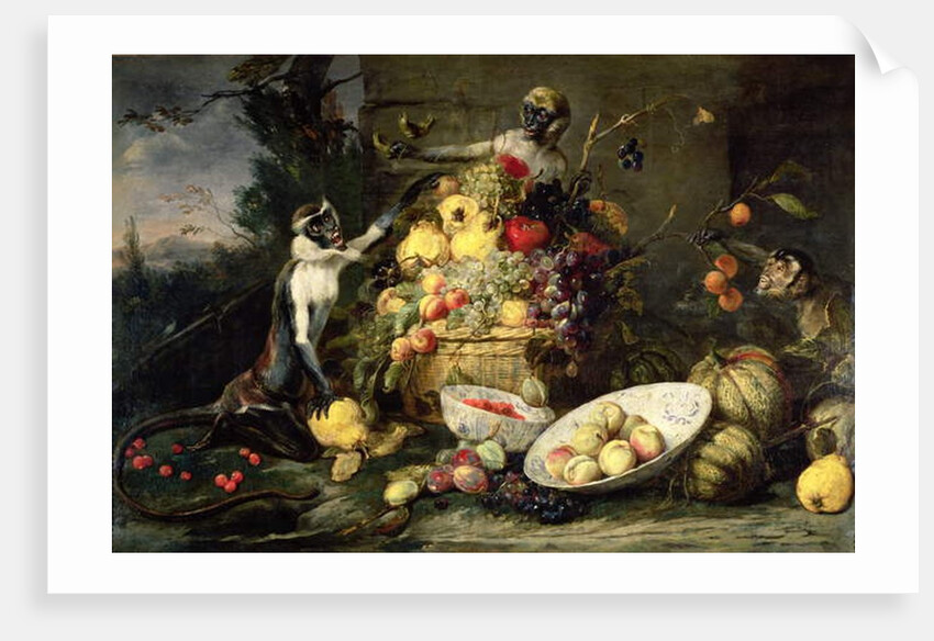 Three Monkeys Stealing Fruit by Frans Snyders or Snijders