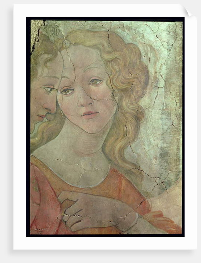 Venus and the Three Graces Offering Gifts to a Young Girl by Sandro Botticelli