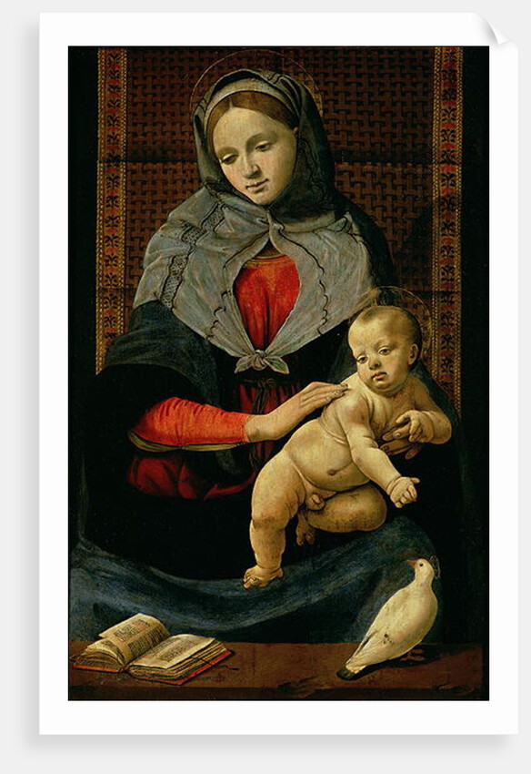 Madonna and Child with a Dove by Piero di Cosimo