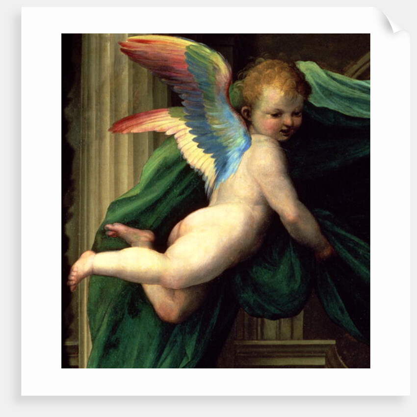 The Mystic Marriage of St. Catherine of Siena with Saints, detail of an angel, 1511 by Fra (1472-1517) Bartolomeo