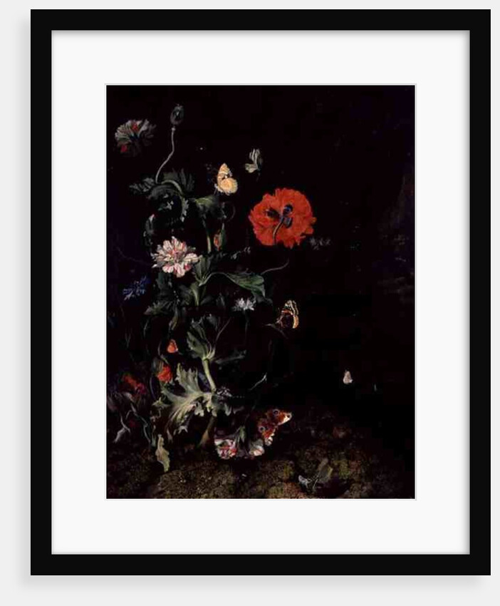 Forest Floor Still Life with Flowers and Butterflies by Rachel Ruysch