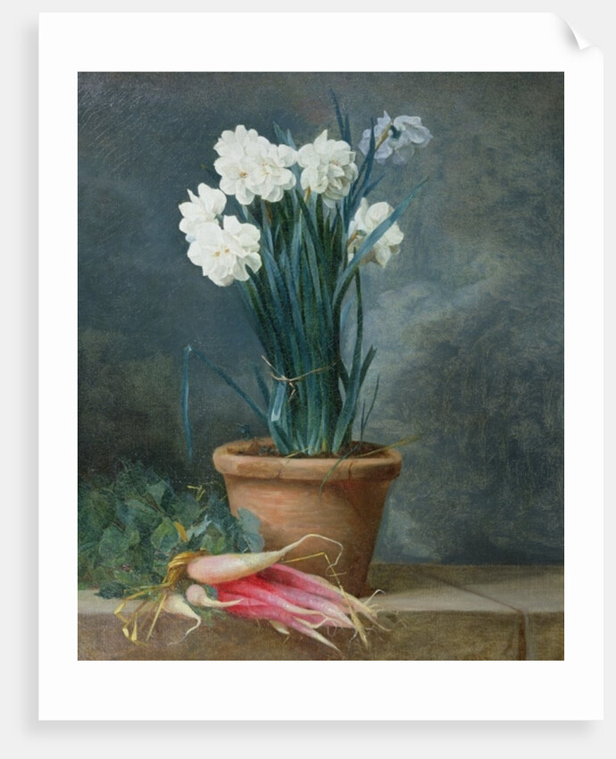 Still Life of Narcissi in a Terracotta Pot by Guillaume-Thomas-Raphael Taraval