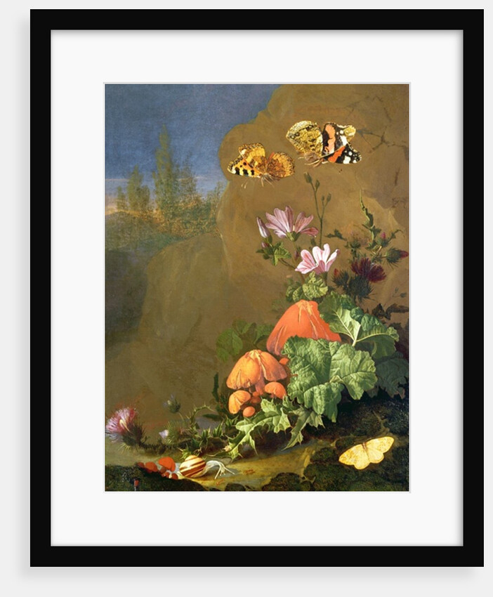 Still Life of Forest Floor with Flowers, Mushrooms and Snails by Elias van den Broeck