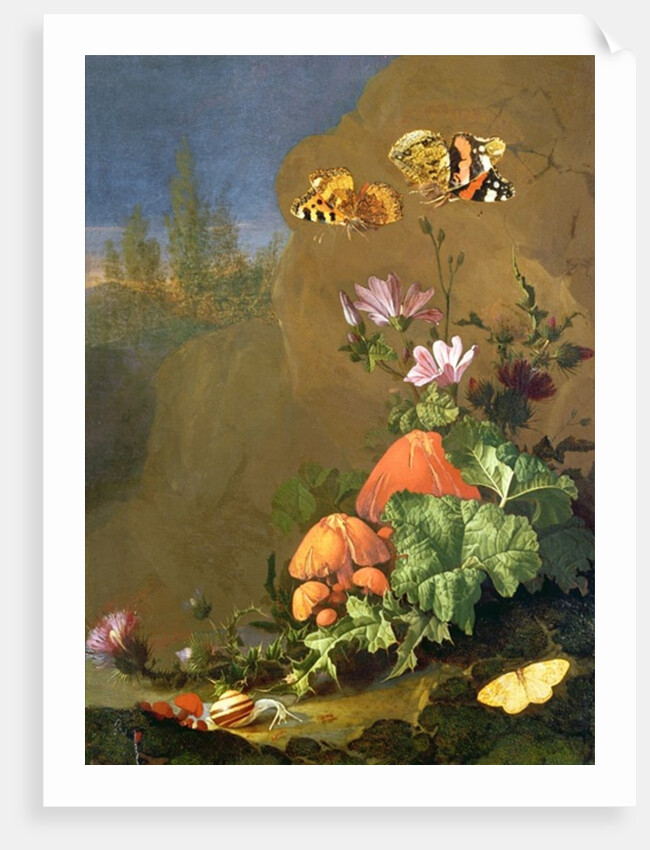 Still Life of Forest Floor with Flowers, Mushrooms and Snails by Elias van den Broeck