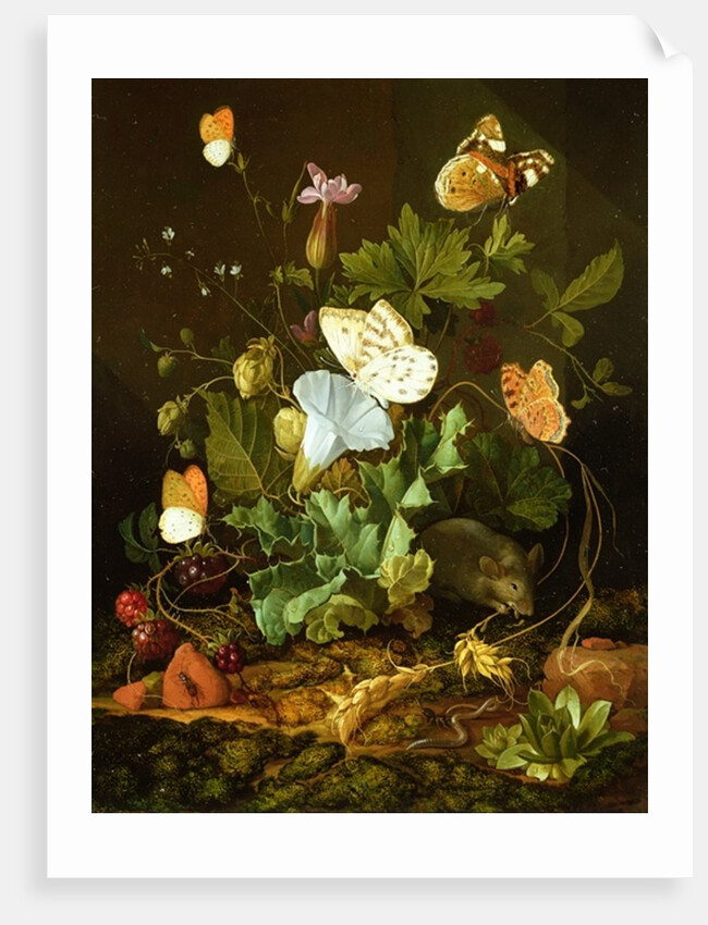 Still Life of a Forest Floor with Flowers, a Mouse and Butterflies by Elias van den Broeck