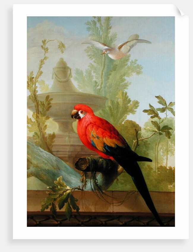 A Macaw and a Dove in an ornamental Garden, 1772 by Gerrit van den Heuvel