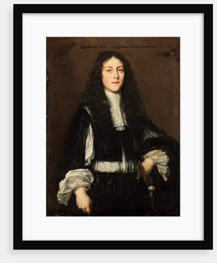 Portrait of a Young Man by Justus Sustermans