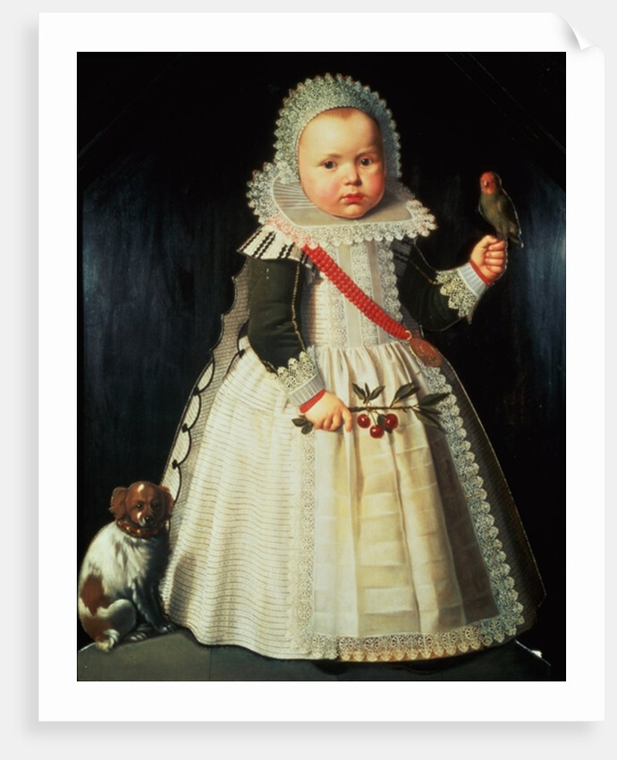 Portrait of a young boy holding a parrot by Wybrand Simonsz. de Geest