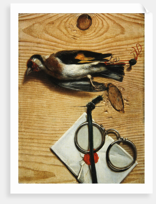 A tromple l'oeil of a pair of spectacles and a finch, 1740 by Conrad Manlich